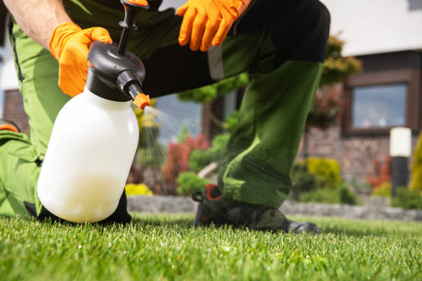 Professional Pest Control in Walden, NY