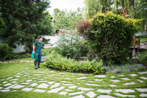 Wasp Removal Services in Walden, NY