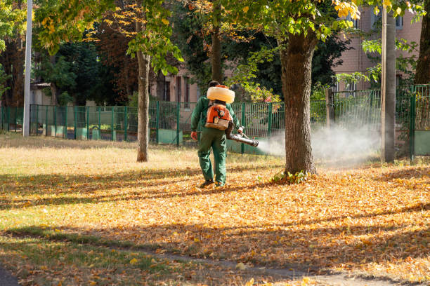 Best Flea Control Services  in Walden, NY