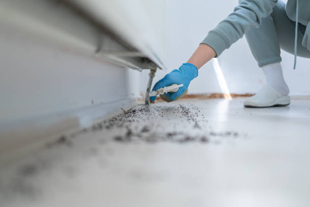 Best Best Pest Control Companies  in Walden, NY