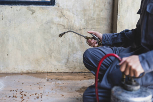 Best Local Pest Control Services  in Walden, NY